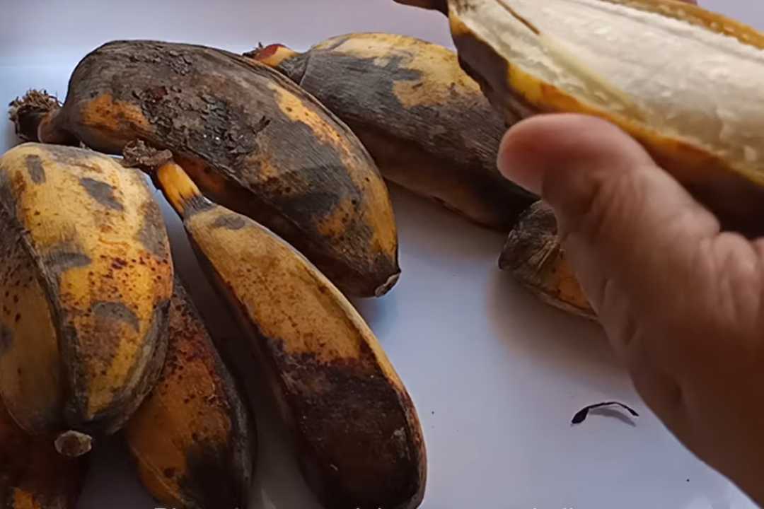 Tips Mengolah Pisang Terlalu Matang Agar Tidak Terbuang Menurut Mama Akbar Alicia
