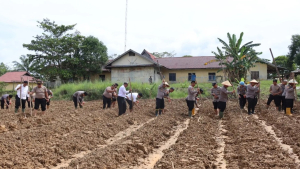 Dukung Ketahanan Pangan, Polres Melawi Manfaatkan Lahan Sendiri