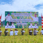 Kalbar Kejar Swasembada Pangan, Mempawah Dapat Jatah Bantuan Benih Padi 200 Hektare