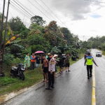 Kecelakaan Jalan Sanggau-Sekadau, Remaja 15 Tahun Setir Pick Up Hingga Lawan Arus dan Hantam Motor