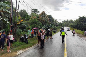 Kecelakaan Jalan Sanggau-Sekadau, Remaja 15 Tahun Setir Pick Up Hingga Lawan Arus dan Hantam Motor