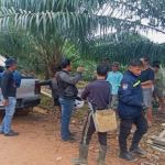 PETI di Desa Mondi: Polisi Pastikan Aktivitas Sudah Berhenti, Warga Sepakat Pelaku Disanksi Adat